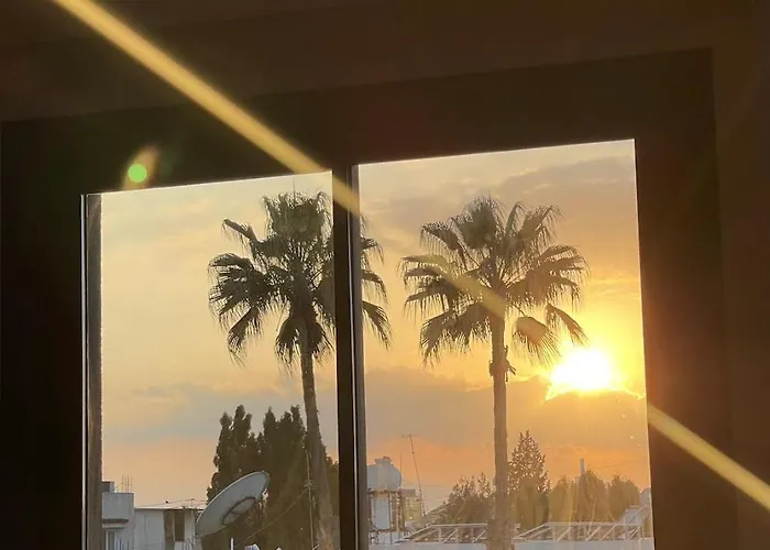 Modern Designer * ラルナカ