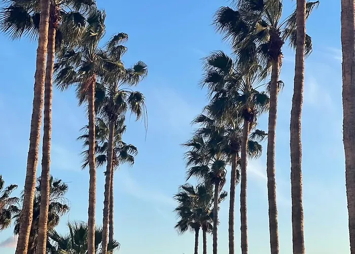 Modern Designer アパート