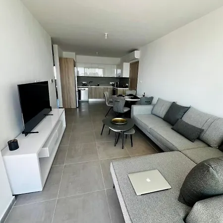 Modern Designer Apartament