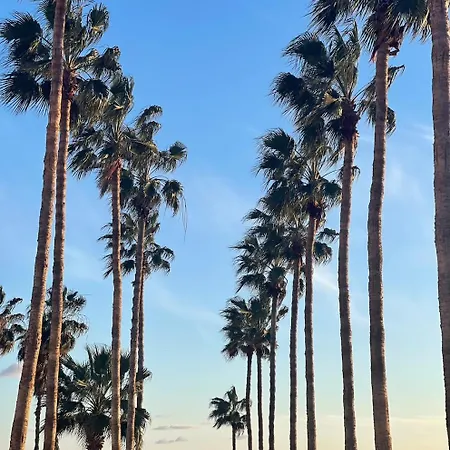 Modern Designer Appartement